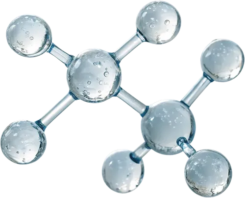 1组分子