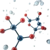 1组分子