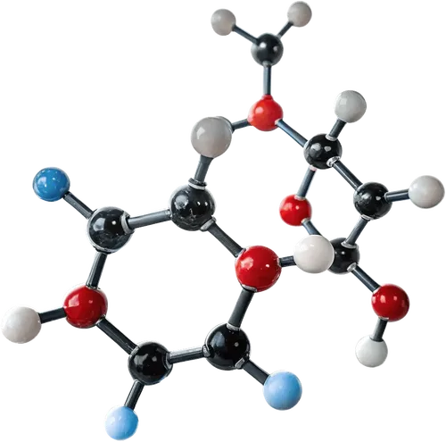 1组分子