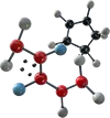 1组分子
