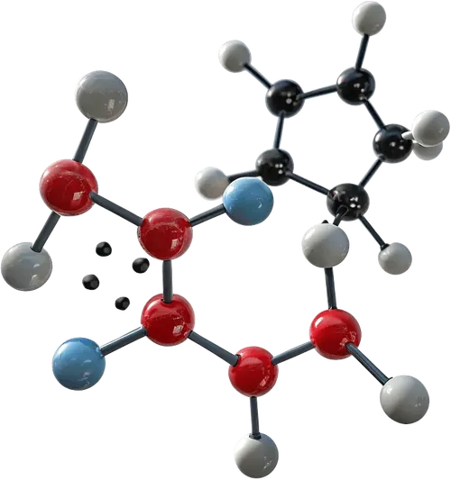 1组分子
