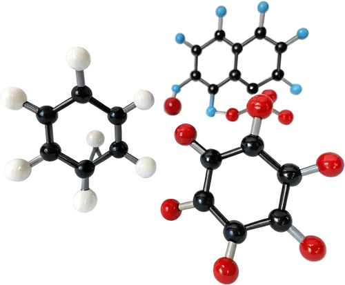 1组分子