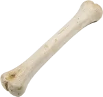 骨头