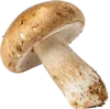 1个蘑菇