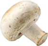 1个蘑菇