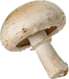 1个蘑菇