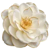 白色花瓣和黄色花蕾