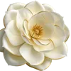 白色花瓣和黄色花蕾