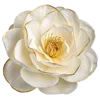 白色花瓣和黄色花蕾
