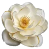 白色花瓣和黄色花蕾