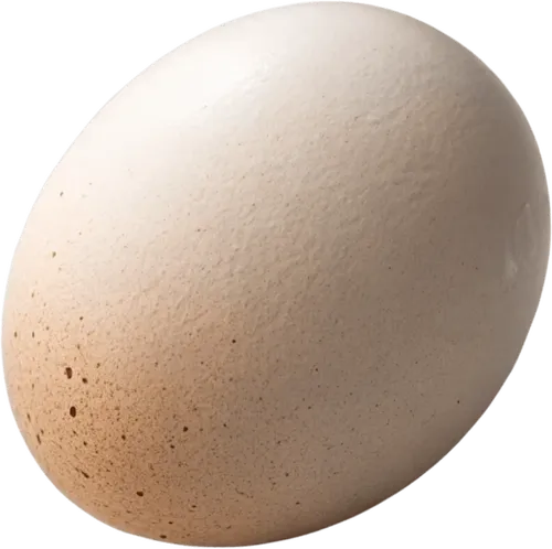 1个鸡蛋