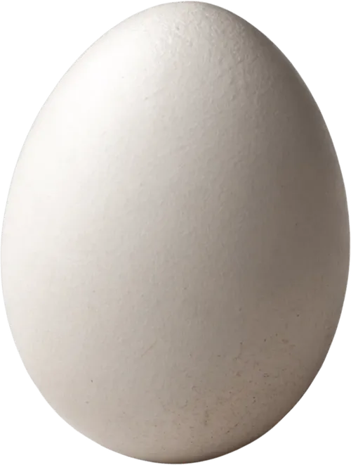 1个鸡蛋